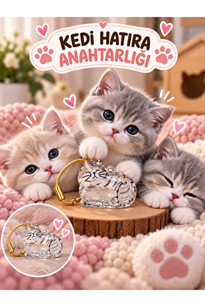 HAYHAYPETSHOP 4 numaralı Kedi Hatıra Anahtarlığı Tüy Saklama Kapsülü – Evcil ...