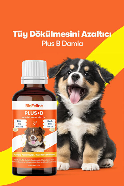 BioFeline Tüy Dökülme Engelleyici, Tüy Sağlığı Ve Deri Sağlığı Destekleyici B...