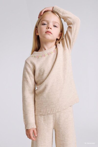 DeFacto Crew Neck Floral Embroidered Knitwear Sweater for Baby Girl I4965A526Wn