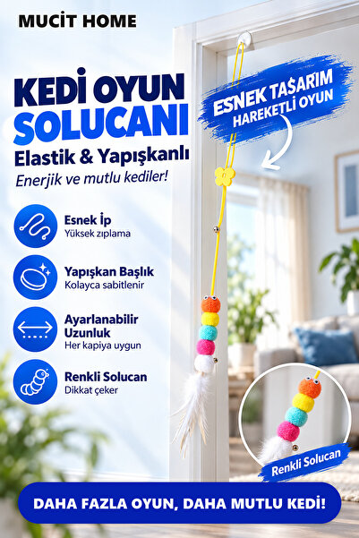 mucit home Kedi Solucanı Elastik Yapışkanlı Kapı Kedi Oyun Solucanı