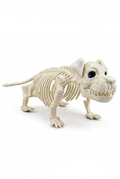 BeySüS Cadılar Bayramı Korku Temalı İskelet Köpek Figürü 44cm