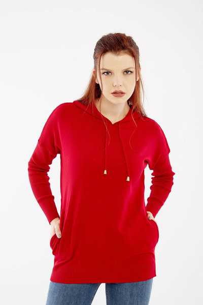 citycenterfashion Women's Lilac Hooded Sweater Cty-Akc-11185