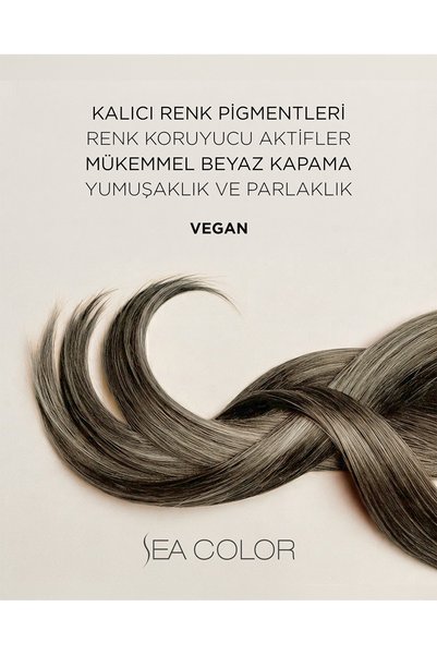 Sea Color Set Saç Saç Boyası 8.1 Küllü Açık Kumral