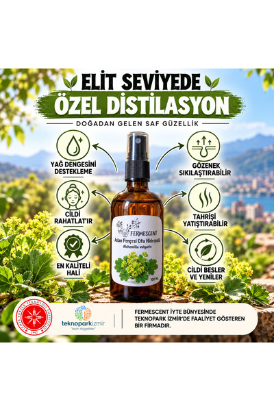 Fermescent Aslan Pençesi Suyu Hidrosolü Sebum Dengeleyici Gözenek Sıkılaştırı...