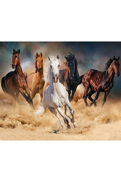 DUCK HOBY 50x40 Boncuklu Taş İşleme Mozaik Elmas Goblen Tablo Resim Boncuk Pu...