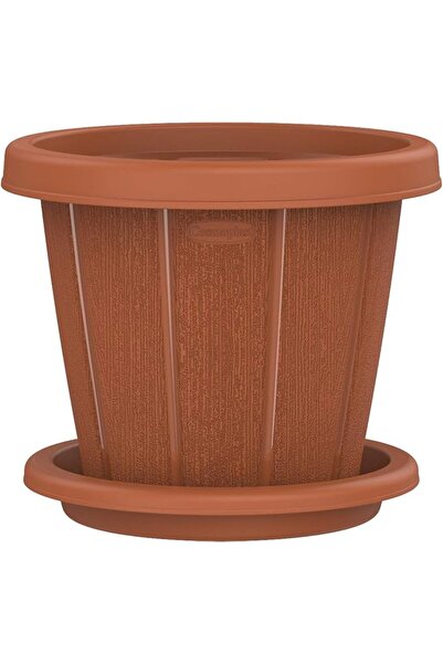 Cosmoplast Plastic Woodgrain Round Flowerpot with Tray