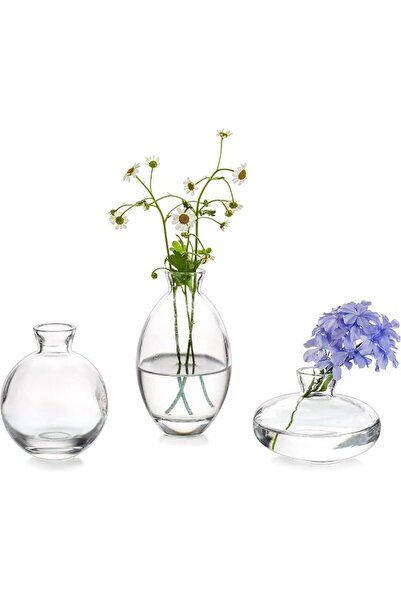 Glasseam مزهرية زجاجية شفافة، طقم من 3 قطع، مزهريات صغيرة عصرية للزهور، تصميم...