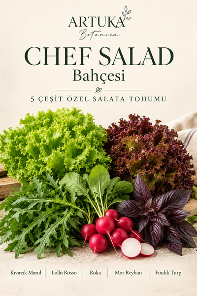 Artuka Botanica Chef Salad Bahçesi | 5 Çeşit Özel Salata Tohumu Seti | Kıvırc...