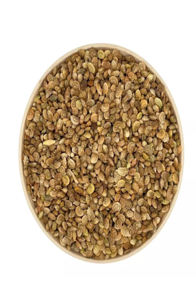 Dört Mevsim Tohumculuk Korunga Arı Otu Tohumu 1 KG Tartılıp Başka Ambalajda G...