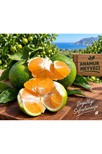 ANAMURMEYVECİM Mandalina 2 Kg - Dalından Hasat