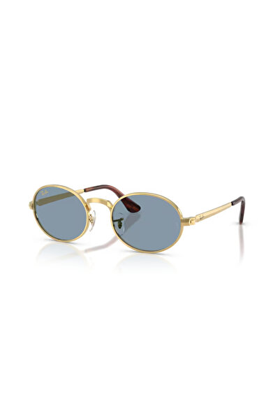 Ray-Ban RB 3931 001/56 54 نظارات شمسية