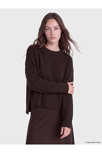 LC Waikiki Vizyon New Season Brown Crew Neck Women's Knitwear Sweater
