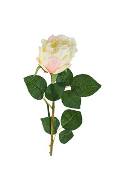 OEM Floare Artificiala cu Tulpina Lunga Trandafir Alb 71cm