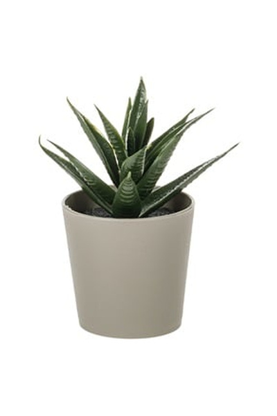 OEM Decorative Plastic Pot with Artificial Cactus Ø6x8.5cm