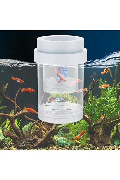 Arabest Floating Fish Breeding Isolation Box,Plastic Aquarium Incubator and F...