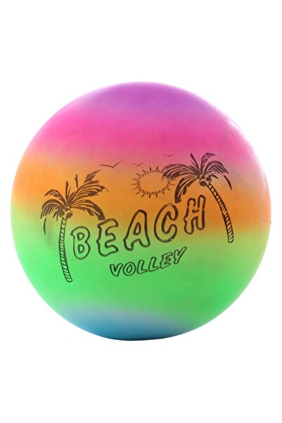 OEM Volleyball, PVC, multicolor
