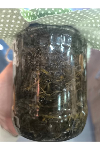 SALAMURA ZAHTER