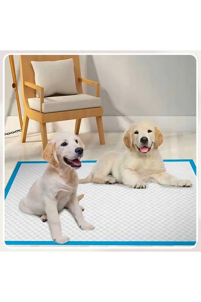 NO BRAND Absorbante igienice de unică folosință pentru scutece 60x60 100 bucăți