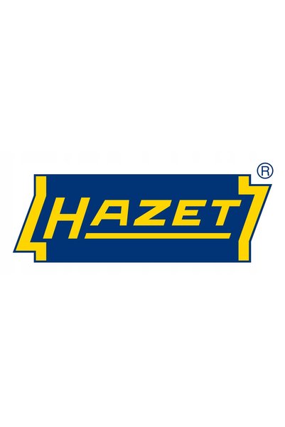 HAZET Șurubelniță cu clichet și biți