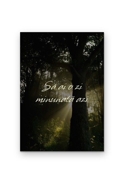 OEM Poster Cardboard 250g A4, Motivational Quote Have a wonderful day today, ...