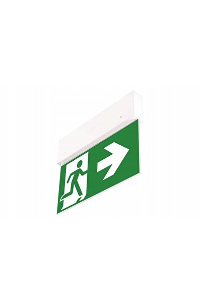 INTELIGHT Corp de iluminat de urgență pentru evacuare, cu LED, 2,5W, înlocuit...