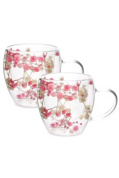 Generic 2 Pcs Double Wall Insulated Glass Coffee Mugs with Handle – Heat Resi...