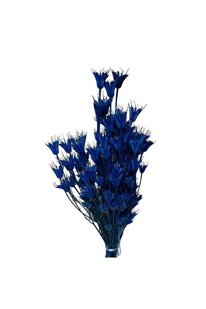 asievents Nigella orientale albastru închis 80 grame, 3 bucati