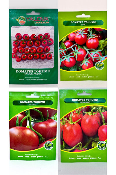 Domates tohum çeşitleri (4 farklı paket)