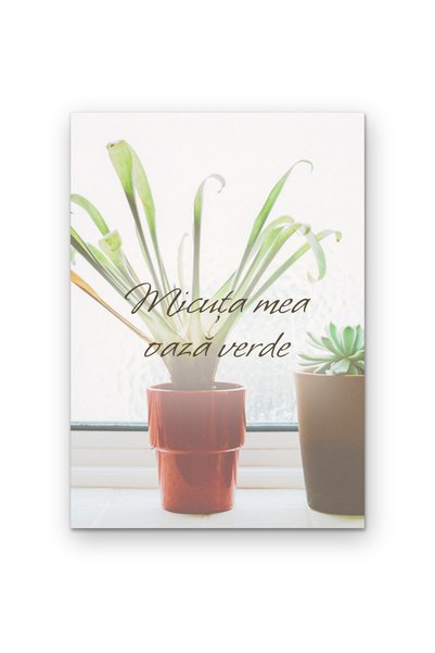 OEM Poster Cardboard 250g A4 My Little Green Oasis, Decorative Picture Motiva...