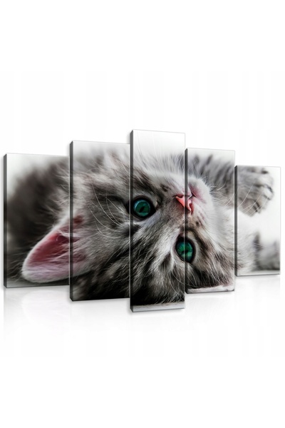 Wallarena Tablou pentru living, cu pisică, modern, triptic mare, 100x60