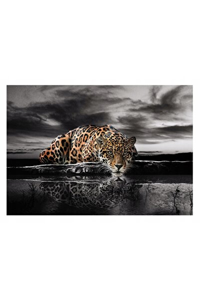 Wallarena Fototapet TIGRU JAGUAR Animale Lac 254x184
