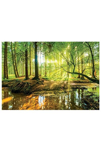 Wallarena Fototapet vinil pe material nețesut, peisaj natural cu pădure verde...