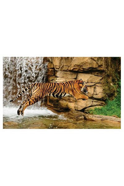 Wallarena Fototapet TIGRU Cascada 3D Animale 416x254