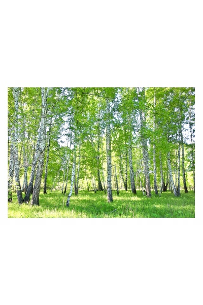 Wallarena FOTOTAPET MĂRILE DE MĂRĂNĂI PENTRU SUFRAGERIE ȘI DORMITOR 400x280