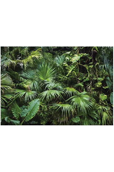 Wallarena FOTOTAPET Junglă Pădure Frunze Tropicale Pentru Dormitor Sufragerie...