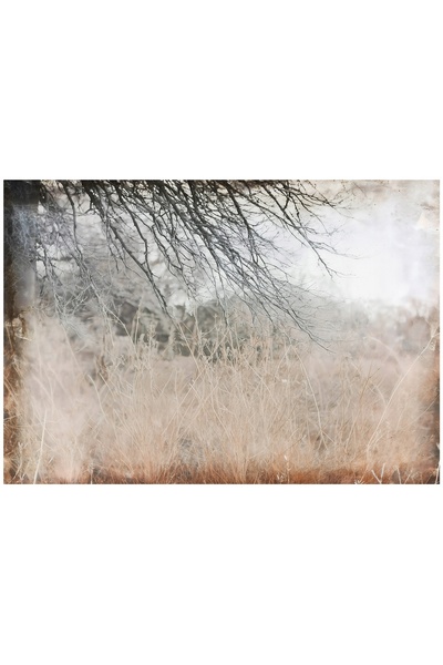 Wallarena Fototapet Abstracție Retro Ramuri Loft Pentru Perete Dormitor Sufra...