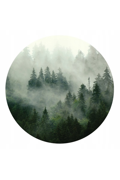 Wallarena Fototapet rotund pentru pat, Pădure în ceață, 146x146