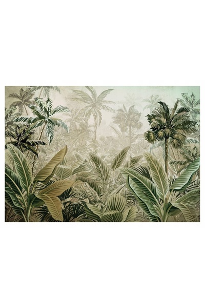 Wallarena Fototapet SUNNY JUNGLE 3D Amazon 416x254