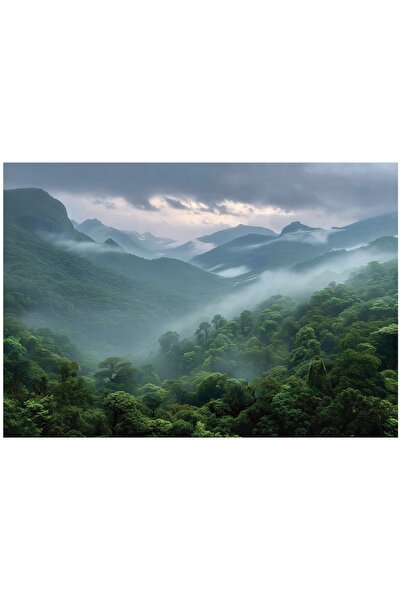 Wallarena Tapet foto FLIZELINA Munți Ceață Natură pentru Dormitor Sufragerie ...