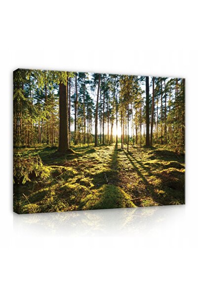 Wallarena Tablou pe pânză copaci natură mare 100x70
