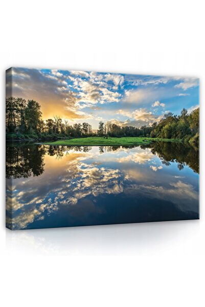 Wallarena Tablou pe pânză pentru living FOTO PĂDURE CU ARBORE 100x70