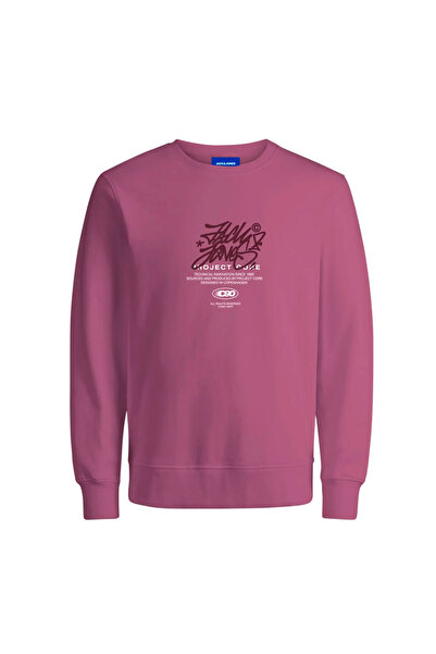 Jack & Jones JCOSCRIPTURE Φούτερ με στρογγυλή λαιμόκοψη FST 12284448-PALOMA Ροζ