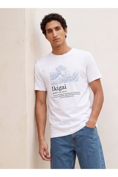 FAV Basic Regular Fit Cotton Crew Neck T-shirt