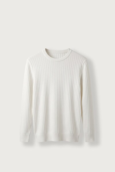 ablukaonline Men's Slim Fit Ribbed Crew Neck Knitwear Sweater Ecru