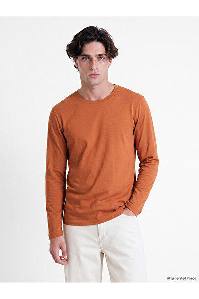 LC Waikiki Vizyon New Season Brown Crew Neck Long Sleeve Men's T-Shirt