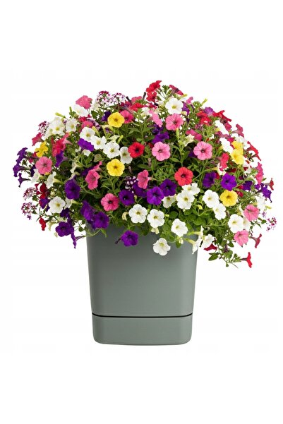 HowHomely GHIVECI CU SUBSTANDARD, DE CULOARE VERDE-GRI, 34x34 cm, pătrat, din...