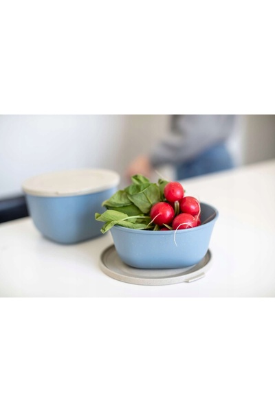 Koziol Recipient pentru alimente CONNECT 0.7l albastru