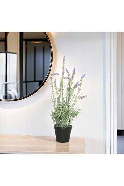 ViviArt Lavandă artificială în ghiveci, plantă de 50cm, floare, cadou pentru ...