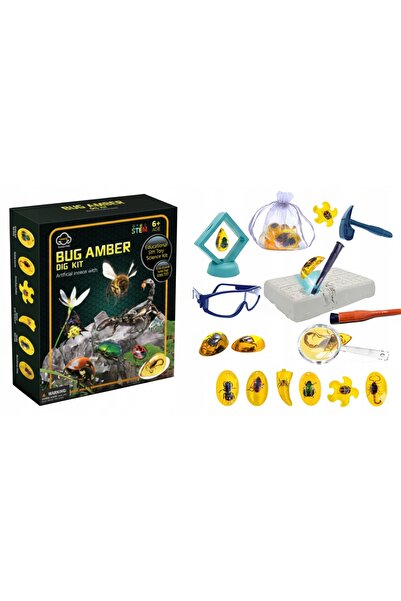 Norimpex Excavare, Ambra, Săpat, Insectă, Mic, Arheologie, Jucării educative ...