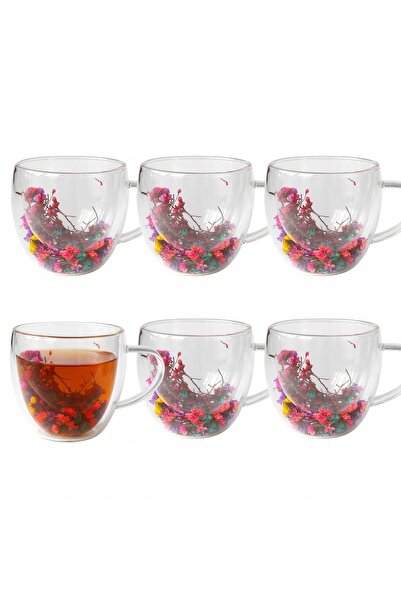 Premium 6 pahare termice pentru cafea latte, ceai și infuzii de flori, cu fun...